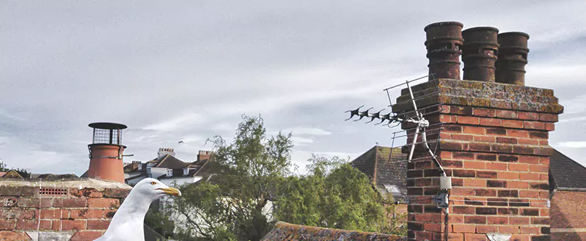 Chimney Cleaning And Restoration in Cherry Hill, Virginia