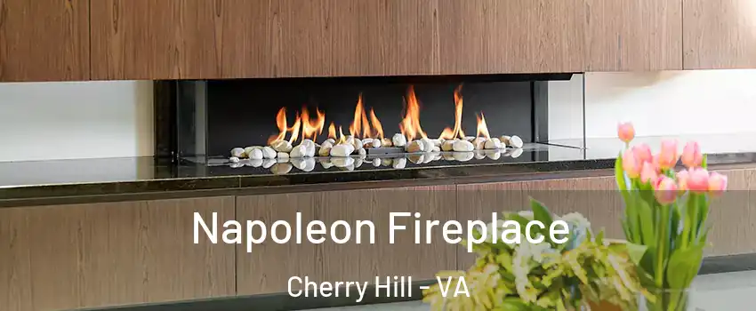  Napoleon Fireplace Cherry Hill - VA