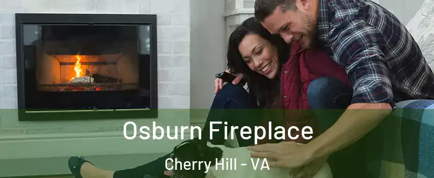  Osburn Fireplace Cherry Hill - VA